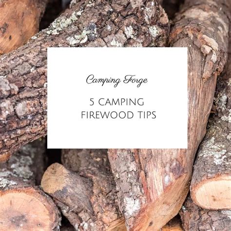how to find firewood while camping