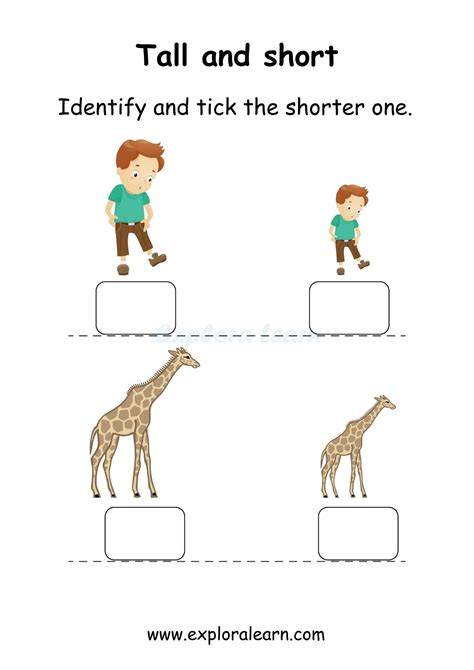 Engaging Comparison Worksheets for Preschool & Kindergarten - Above and