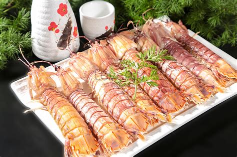 brine shrimp picture  hd     lovepik