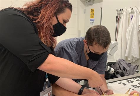 Average Salary and Compensation for Certified Veterinary Technicians 5