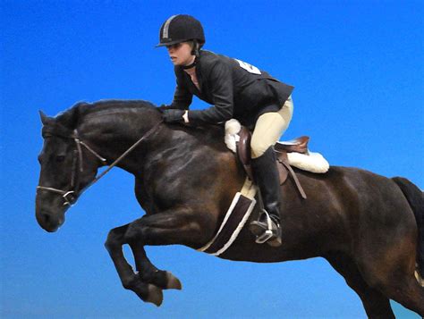 Horse Jumping Wallpapers - Top Free Horse Jumping Backgrounds - WallpaperAccess