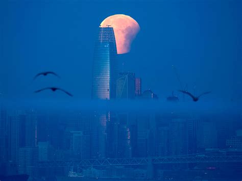 The unexpected lunar rise time that will cause a supermoon event 13