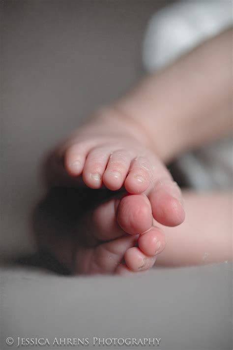 Newborn Baby Portrait Photography, Buffalo, NY | Jessica Ahrens Photography