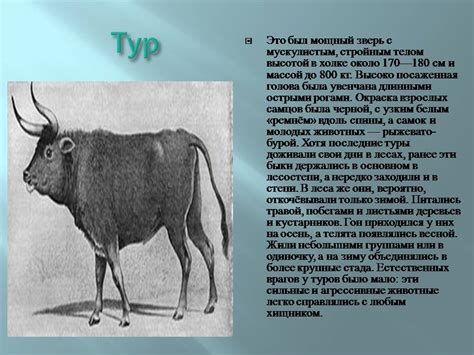 Исчезнувшие животные - Презентации по экологии