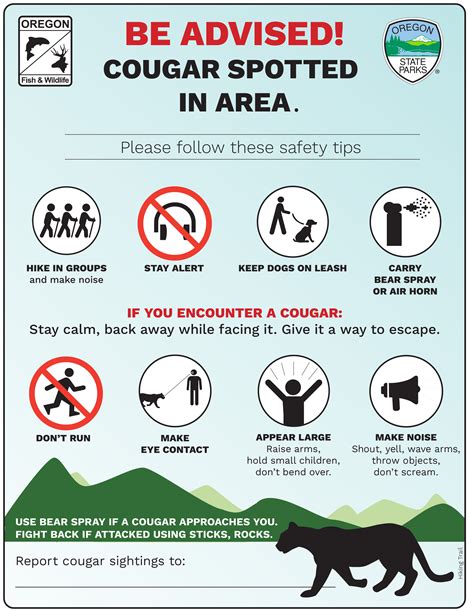 At least two cougars thought to be roaming popular areas of Oregon’s