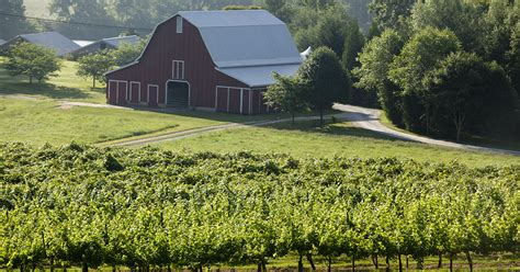 UGA uncorks north Georgia’s ripening wine industry - UGA Public Service ...