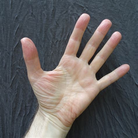 hand close   stock photo public domain pictures
