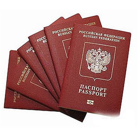 Где сделать цветную ксерокопию паспорта, скачать | Print Guru