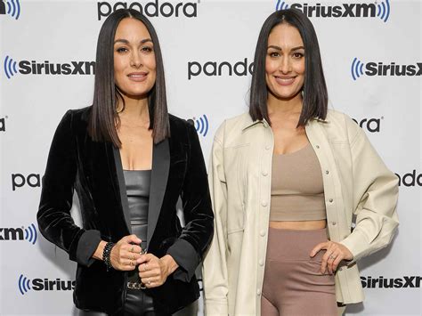 What Are the Bella Twins Doing Now? All About Nikki and Brie Garcia