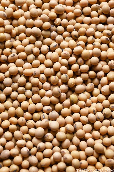 What Is Soybean? - Taste of Nusa