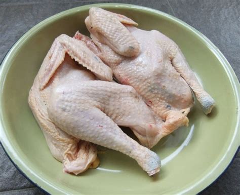 resepi ayam tua bukan  ayam goreng tetapi pelbagai resepi ayam