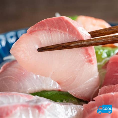 Hamachi Sashimi Loin – Oritz Shop