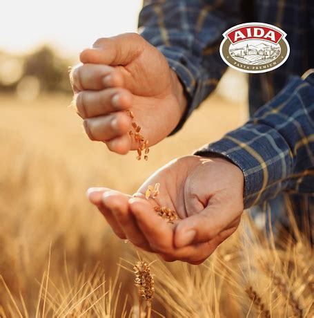 AIDA pasta