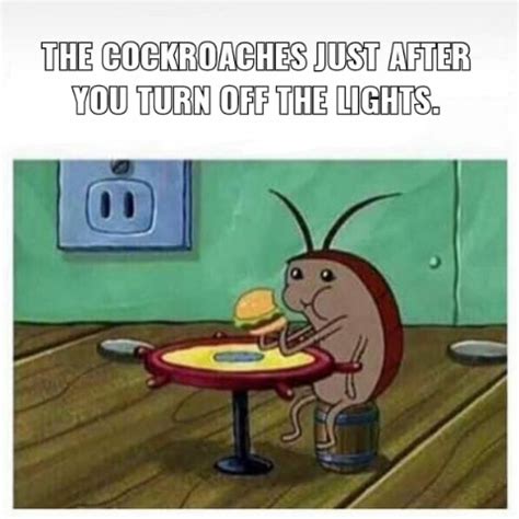 The best Cockroach memes :) Memedroid