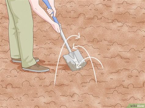 How to Kill Voles: 3 Effective Methods