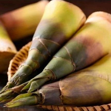 jual rebung shopee indonesia