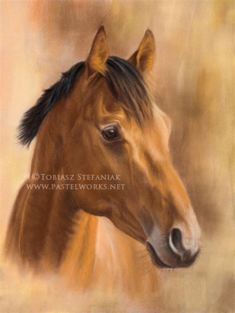 A Horse - Pastelworks.net