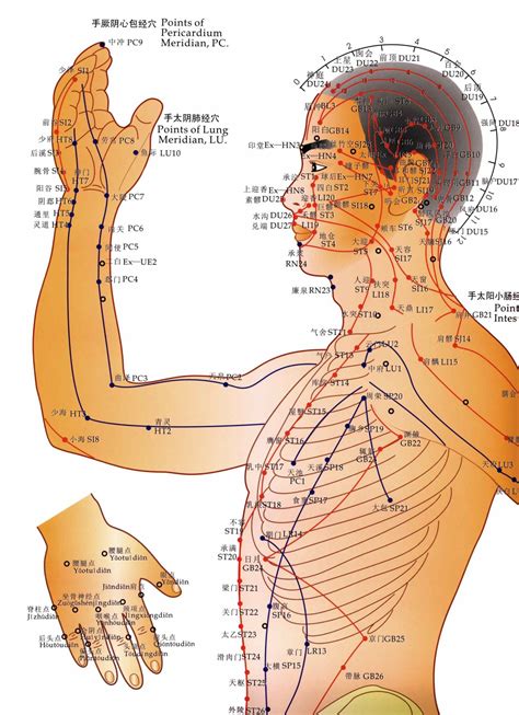 The Acupuncture Points Functions Colouring Book 4