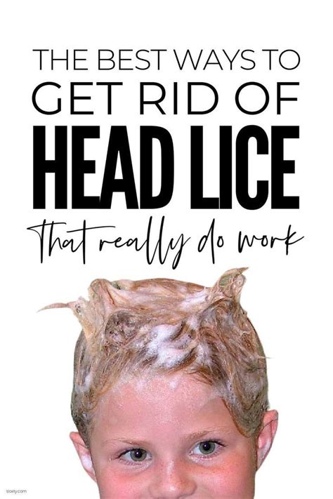 Natural head lice remedies lice prevention – Artofit
