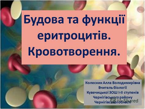 Презентация на тему: "Будова та функції еритроцитів. Кровотворення ...