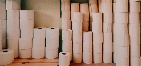 Eco-Friendly Toilet Paper Pros and Cons - Utopia