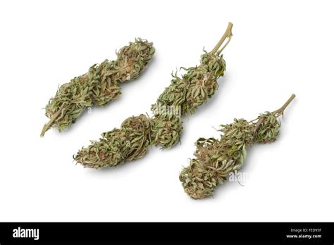 Dried marijuana buds with visible THC on white background Stock Photo ...