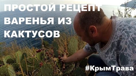 ВАРЕНЬЕ ИЗ КАКТУСА / ПРОСТОЙ РЕЦЕПТ / ВАРИМ ПЛОДЫ ОПУНЦИИ / КРЫМ-ТРАВА ...