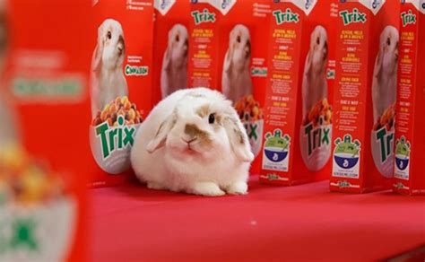 Real bunny becomes Trix cereal's new mascot – WDBO