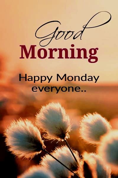 Good Morning Happy Monday Everyone - Good Morning Wishes & Images