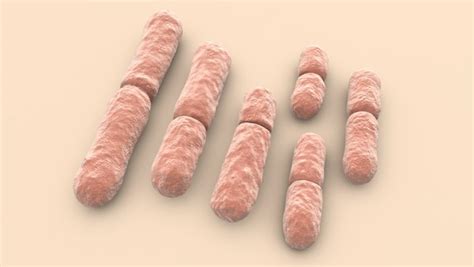 bacillus model turbosquid