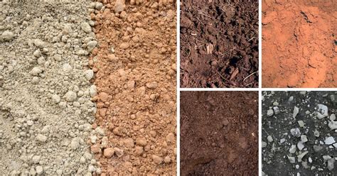 understanding  soil types