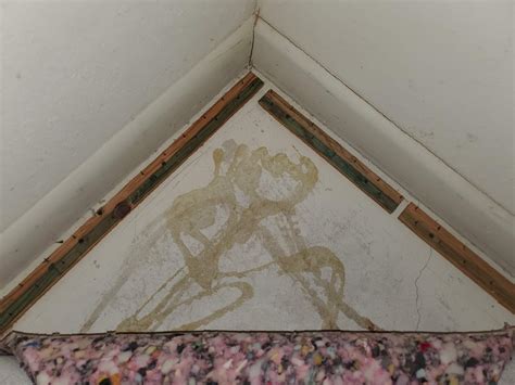 What's going on under the carpet? And are these cracks concerning
