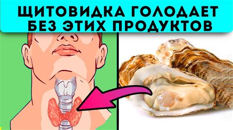Такую еду щитовидка любит! 13 продуктов, которые сделают щитовидку ...