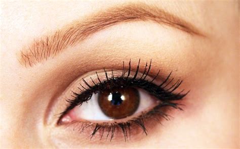 Cat eye | Makeup tutorial, Hair and makeup tips, Makeup