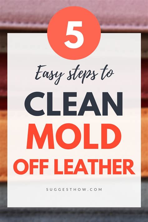 how to clean mold off leather