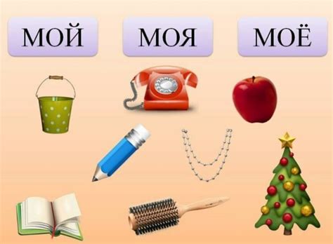 Дидактическая игра «Мой, Моя, Моё, Мои»: 22 картинки