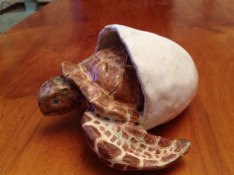 Sea turtle clay sculpture | Clay pottery, Clay sculpture, Sculpture clay
