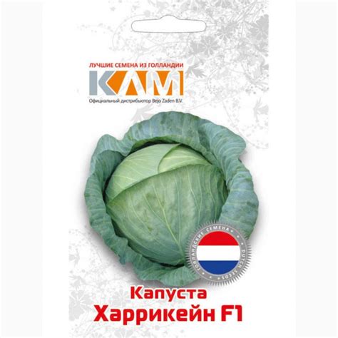 Капуста "Харрикейн" F1 0, 1г — APK-Belarus
