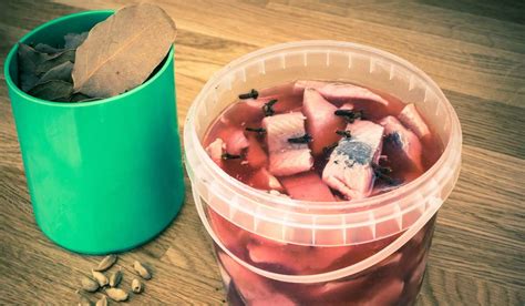 brine  meats  pickle ferment