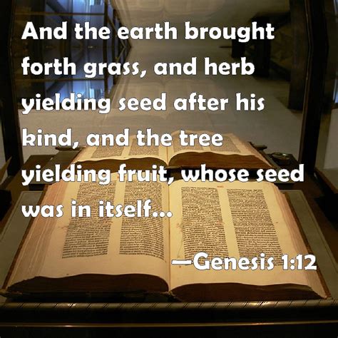 Genesis 1:12 And the earth brought forth grass, and herb yielding seed after his kind, and the ...