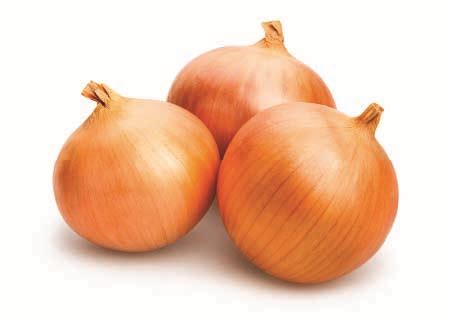 onions  boardman foods