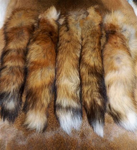 Large Red Fox Tails Ready to Wear by FrontierFurs on Etsy