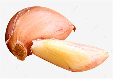 فصوص ثوم ثوم, رأس الثوم, ثوم, فص ثوم PNG صورة للتحميل مجانا