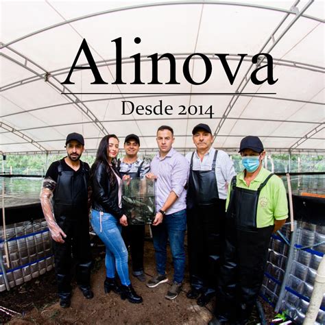 grupo alinova youtube