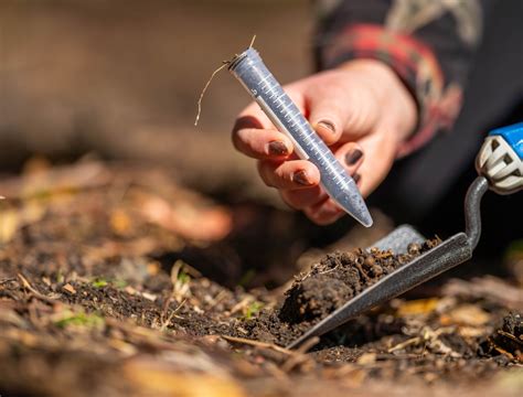 How Do You Know if There Is Lead in Your Garden Soil?