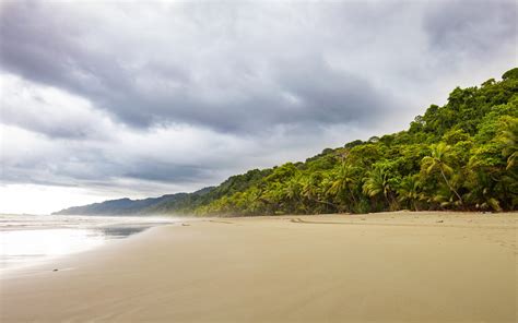 Osa Peninsula | A Complete guide to Costa Rica's Osa Peninsula