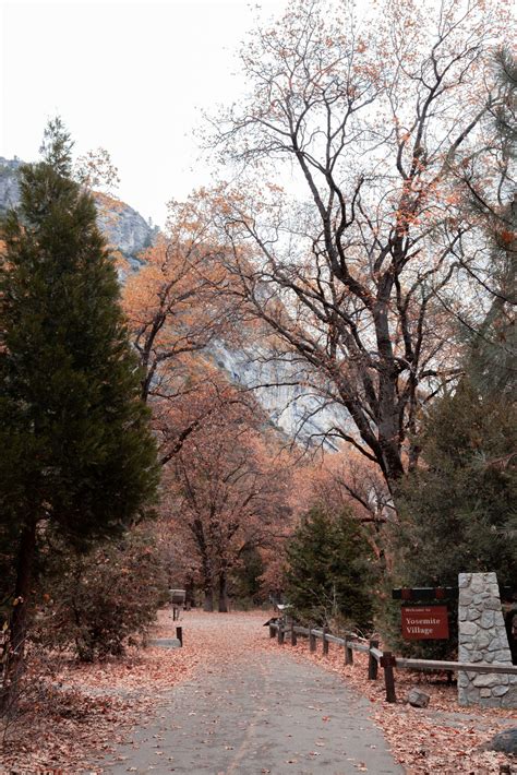 California Mountain Ranges: A Guide To The State's Most Scenic Peaks