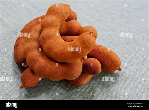 Pile of fresh tamarind fruit pods Stock Photo - Alamy