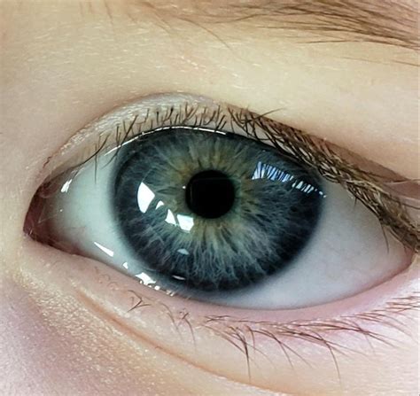 My son's dark steel blue eyes with a little central heterochromia. : r/eyes