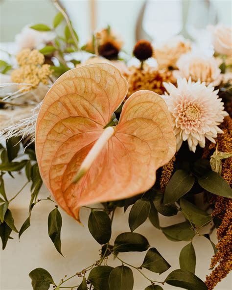 Chloe & Ethan: A Sophisticated Whimsical New Glarus Wedding
